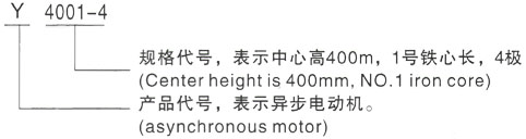 西安泰富西玛Y系列(H355-1000)高压广东三相异步电机型号说明